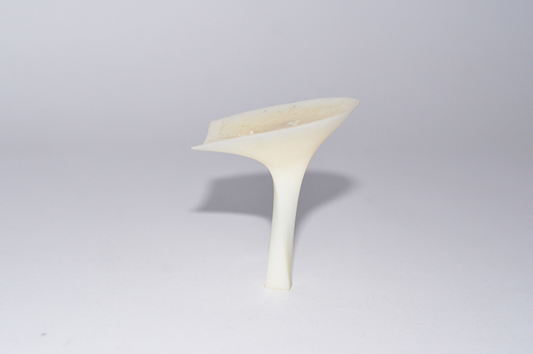 Portfolio Image